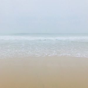 Meet your Posher, Ella